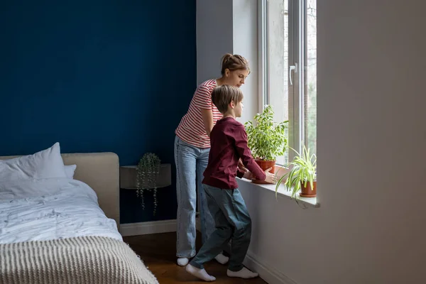 寝室の窓の緑の家の植物を動かす若い母親を助ける注意深く小さい子供の男の子 ママは息子のケアが適切に健康的な花を残し示しています 親子で家事を一緒にする — ストック写真