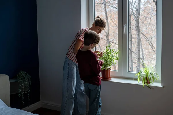 어머니가 가정의 창문턱에 화분에 나뭇잎을 돌보는 일에는 관련되어 도우미 관심이 — 스톡 사진
