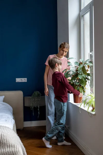 寝室の窓の緑の家の植物を動かす若い母親を助ける注意深く小さい子供の男の子 ママは息子のケアが適切に健康的な花を残し示しています 親子で家事を一緒にする — ストック写真
