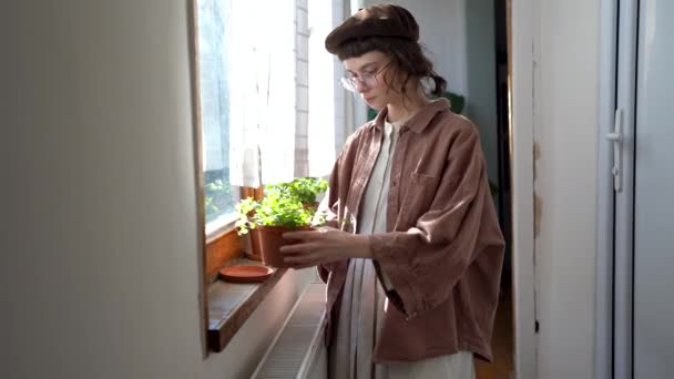 Hipster Menina Cuidando Plantas Sala Domésticas Pela Janela Casa Verificando — Vídeo de Stock