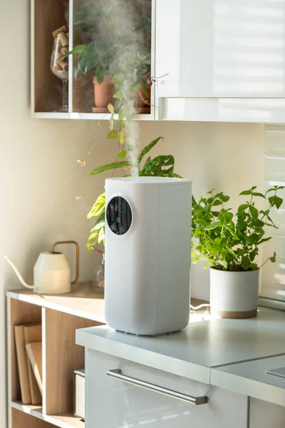 Modern Humidifier Home Moistens Dry Air Surrounded Potted Mint Thyme — Stock Photo, Image