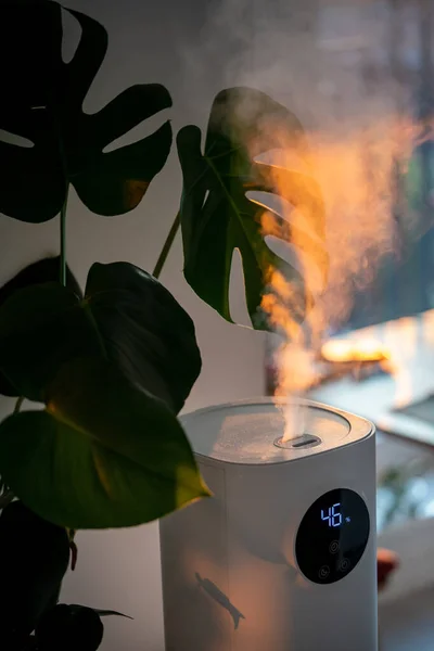 Moderne Luchtbevochtiger Thuis Hydrateert Droge Lucht Omgeven Door Indoor Monstera — Stockfoto