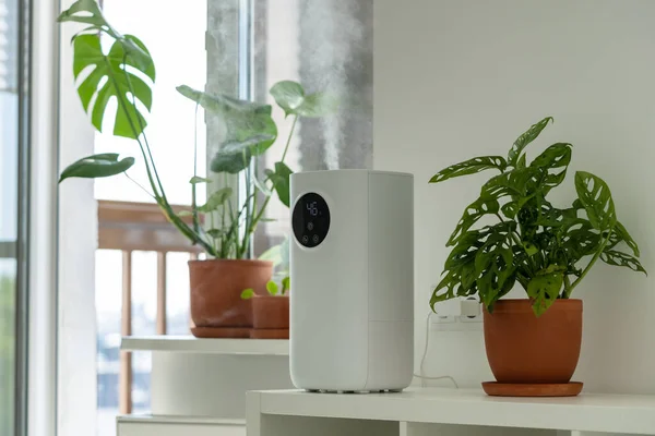 Modern Humidifier Home Moistens Dry Air Surrounded Indoor Monstera Houseplant — Stock Photo, Image