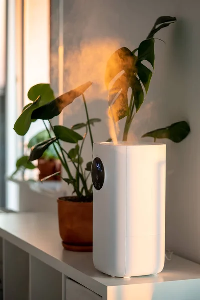 Moderne Luchtbevochtiger Thuis Hydrateert Droge Lucht Omgeven Door Een Indoor — Stockfoto