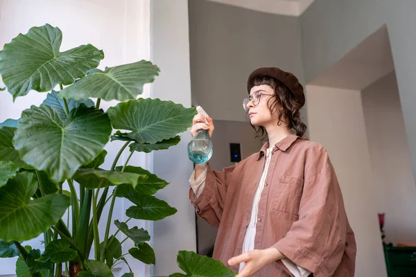 Hipster Girl Holding Bug Spray Bottle Spraying Green Leaves Alocasia — Stock Photo, Image