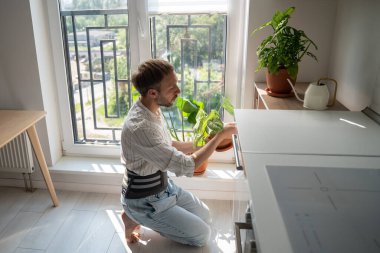 Young man wearing support belt taking care of houseplants at home, recovering after spinal injury, living with chronic back pain. Using orthopedic lumbar brace for pain relief clipart