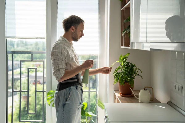 Man in sick leave taking care houseplants at home on kitchen wearing back support belt corset on lower back to treatment of hernia, relieve stress on spine, postoperative recovery. Back pain problems.