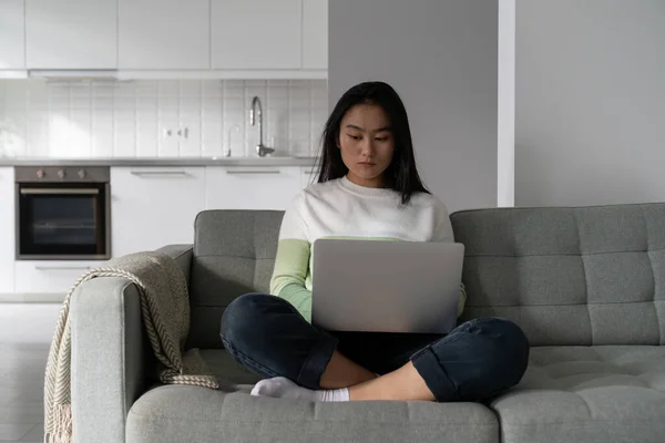 集中したプロの韓国人女性はノートパソコンとソファに座って 遠隔フリーランスの仕事をしているテキストを入力します 快適なアパートにある自宅から働く自給自足のアジアの女の子 — ストック写真
