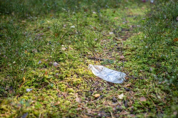 Empty dirty plastic bottle on green grass pathway in summer forest. Ecological problem of waste, garbage, trash, litter, environmental pollution concept. Blueberry bushes, bottle for picking berries.