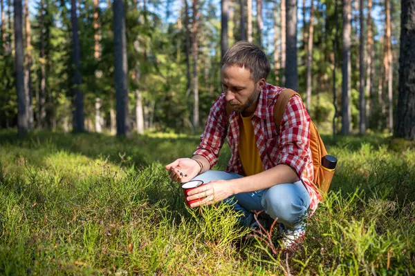 Interested man put berries in cup sitting in forest clearing. Relaxation, stress relief from mental fatigue on walks in nature. Hiking with backpack for good health, mood in fresh air. Tourist leisure