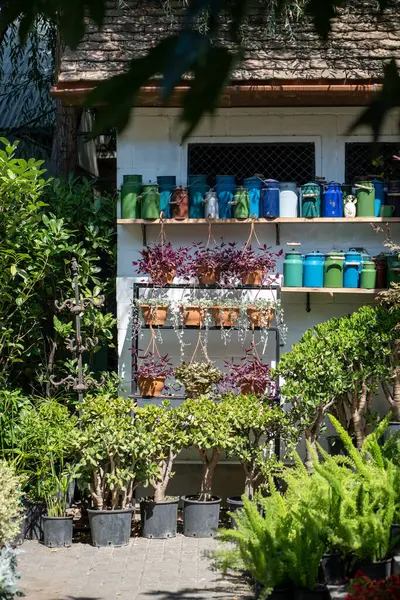 Магазин Продающий Растения Открытом Воздухе Уютный Цветочный Магазин Белое Здание — стоковое фото