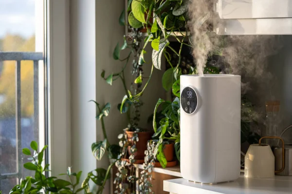 Plant Care Moder Air Humidifier Home Moistens Dry Air Surrounded — Stock Photo, Image