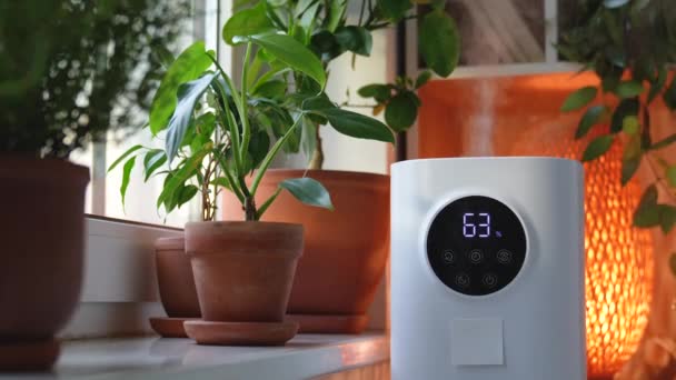 Nahaufnahme Des Luftbefeuchters Hause Befeuchtet Trockene Luft Umgeben Von Zimmerpflanzen — Stockvideo