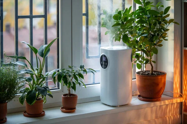 水蒸気を噴霧する鉢植えの花の間の窓の超音波白い加湿器 人々の植物のコンセプトの快適な雰囲気のための家の平らなアパートの湿気の乾燥した空気 — ストック写真