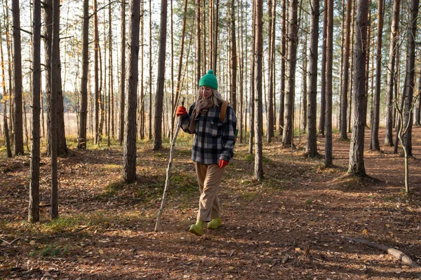 Caminhante Meia Idade Com Pau Árvore Mão Caminhadas Caminhadas Floresta — Fotografia de Stock