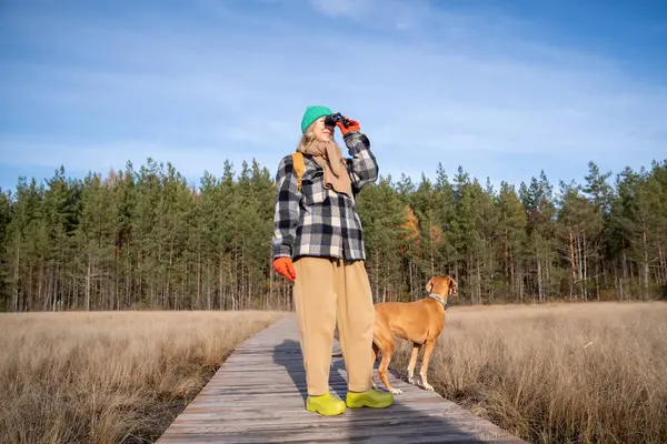Μεσήλικη Γυναίκα Κυνηγόσκυλο Που Περπατάει Οικοτρόπιο Φθινόπωρο Και Κοιτάζει Μέσα — Φωτογραφία Αρχείου