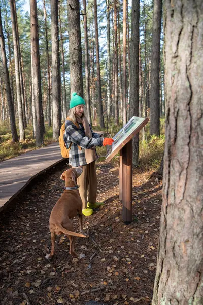 Turistka Která Chodí Psem Ekotropu Čte Informace Rostlinách Lesích Skandinávského — Stock fotografie