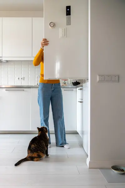 Modern Apartmandaki Mutfakta Buzdolabından Yemek Için Yalvaran Meraklı Tüylü Kedi — Stok fotoğraf