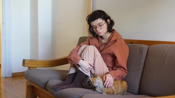 孤独に落ち込んだティーンエイジャーは ソファーに座って 愛する愛らしい品種の猫デボンレックスをストローキング 快適さ 感情的なサポート 接触を必要とするティーンガール アントレス機能を実行するふわふわペット — ストック動画