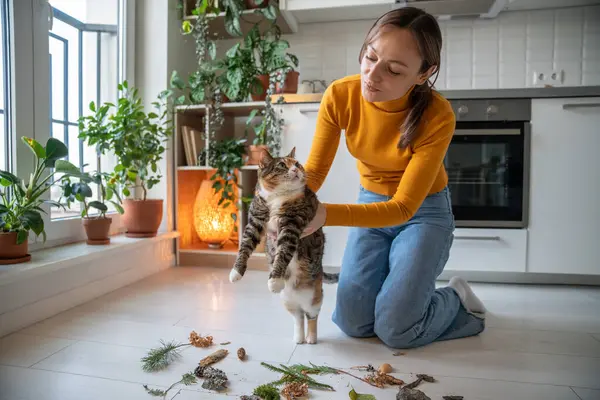 Czułe Opiekuńczy Miłośnik Zwierząt Pokazując Leniwy Niezainteresowany Kot Obiektów Naturalnych — Zdjęcie stockowe