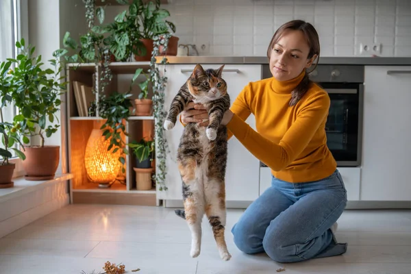 Pet lover siiting on floor, holding lazy uninterested old fat cat, trying to stimulate activity, cognitive functions with natural objects brought from park. Boring monotonous life of domestic animals
