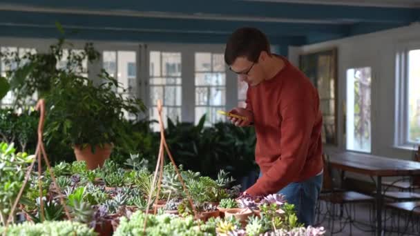 Pensive Człowiek Wybierając Houseplant Przytulnej Kwiaciarni Sprzedaje Rośliny Ozdobne Skoncentrowany — Wideo stockowe