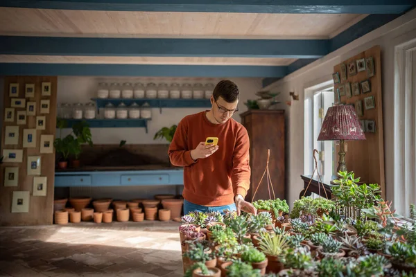 Young man buying succulent at mother, wife request, making photo with smartphone, sending snapshot to women, asking for advice, waiting for answer. Selection of houseplant in private flower shop