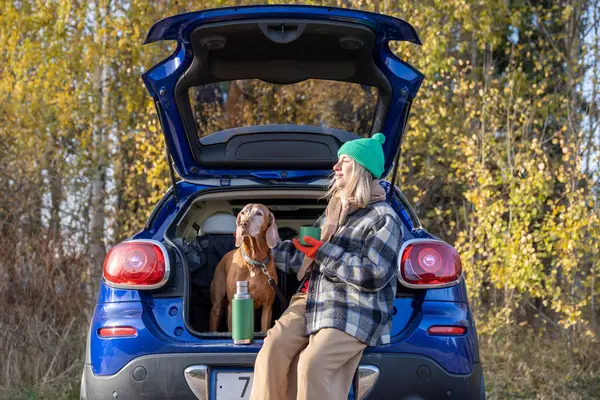 Stock image Woman pet owner drinking tea sitting in car trunk with dog resting on nature in forest on weekend. Autumn outdoors activity, Scandinavia vacation, travel tourism with pet magyar vizsla dog concept.