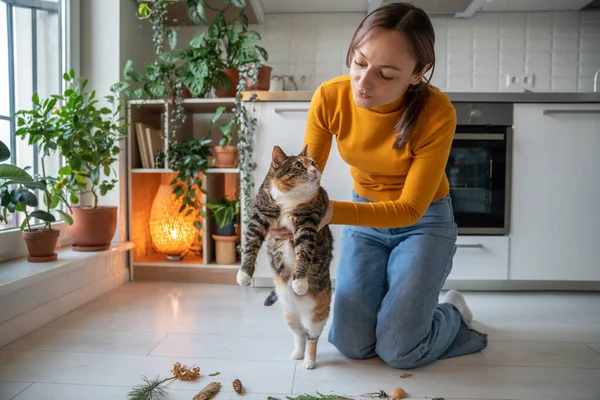 stock image Pet owner woman caring about lazy fat cat playing with him nature plants. Colorful cat looking at girl. Cat entertaining, study, learn smells in order to diversify boring life in city apartment.