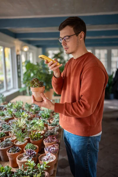 Interested man choosing houseplant in cozy private flower shop selling decorative plants. Concentrated guy holding smartphone, making photos, using mobile application for learning names, species
