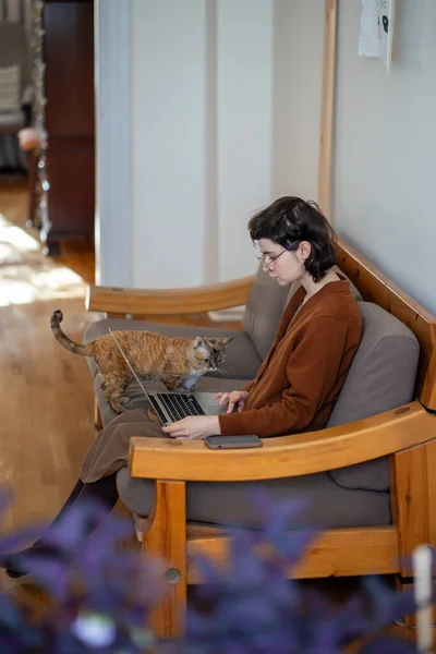 ラップトップコンピュータを使用して自宅で勉強する忙しいティーンエイジャー ショウガの赤い猫デボン レックスは ストローク 楽しさ 遊びを必要とする少女の注意をそらす 仕事からティーンを保つふわふわのコンパニオン — ストック写真
