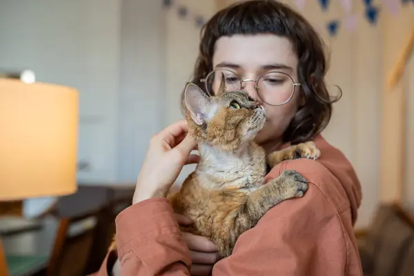 可爱的少女牵着可爱的品种猫德文雷克斯的手 无条件的爱看 愉快的宠物鸣叫着快乐 对家畜的同情 — 图库照片