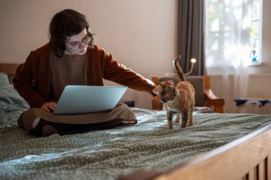 Yatakta oturan, dizüstü bilgisayarda serbest çalışan genç bir evcil hayvan sahibi. Sevgili hırıldayan kızıl kedisi Devon Rex kızın dikkatini dağıtıyor, okşamak, okşamak, eğlendirmek, oynamak,