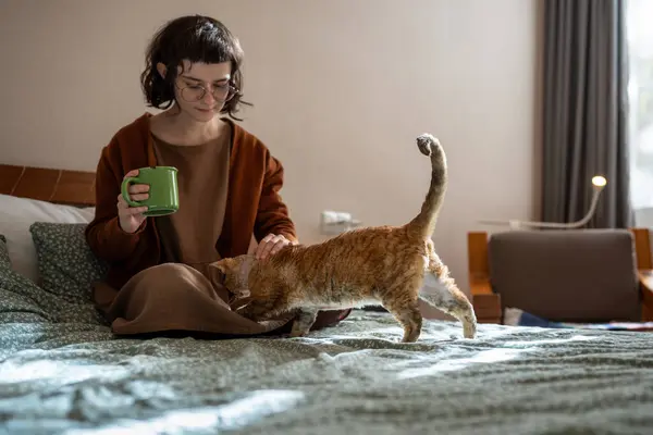 stock image Smiling teen girl sitting on bed, drinking tea, stroking, caressing, amusing, playing with purring of pleasure breed cat Devon Rex. Slender ginger short-haired tall-eared kitten loves pet owner