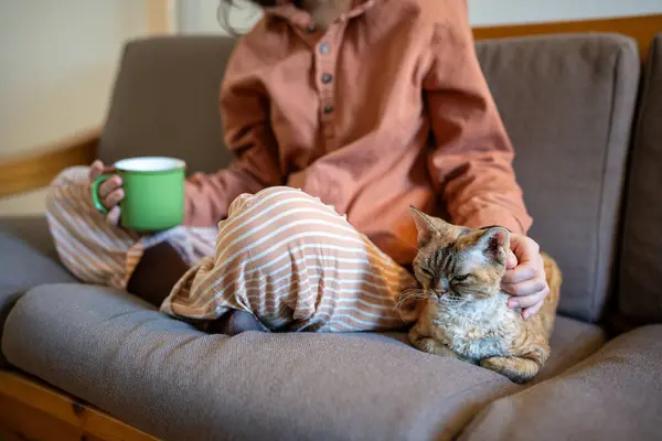 家で飲むお茶でソファーに座っている家畜猫を飼っている女性 パジャマの女性が国内のペットを脳卒中 新しい一日を始める動物との朝の時間を過ごす 愛猫のケアメンテナンス — ストック写真