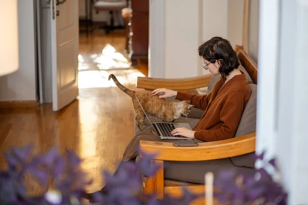 Cat wants attention from woman freelancer who working at home on laptop. Girl in glasses doing job on computer stroking domestic pet cat sits on couch. Freelance, distant remote work, digital nomad.