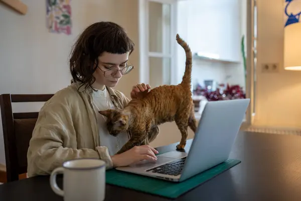 Concentrated busy teen girl sitting at table, working on laptop as freelancer, studying online at home. Domestic cat diverts girl attention from work, waiting for stroking, caressing, amusement