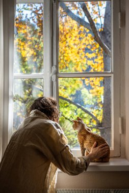 Pencerenin yanında duran evcil hayvan sever, sonbahar caddesine bakıyor, sevgili cins kedisi Devon Rex 'i okşuyor. Arkadaşlık, empati, evcil hayvanları sevmek. Evcil hayvanlar rahatlatıcı, duygusal destek, dokunsal terapi 