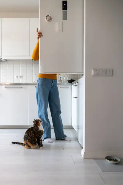 Şişman Bir Kedi Buzdolabından Yemek Için Miyavlıyor Mutfakta Yerde Oturmuş — Stok fotoğraf