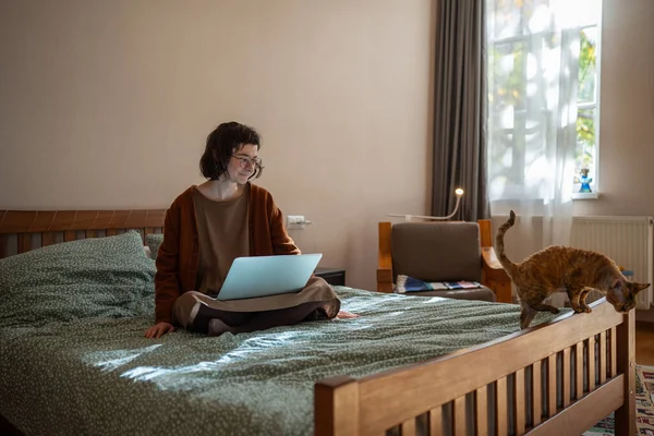 女性フリーランサーは 自宅でペット猫を見ながらベッドに座っているラップトップに取り組んでいます メガネの女の子は 仕事から離れて 遠い仕事の自己組織化に問題を抱えています フリーランスオンライン求人コンセプト — ストック写真