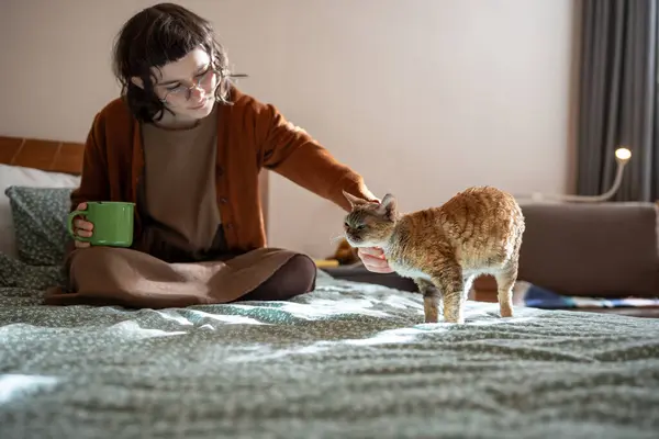爱抚德文 雷克斯的小女孩坐在床上 在家喝咖啡 女人抚摸家养的宠物 每天早上和动物一起度过新的一天 寂寞内向的女孩和心爱的猫的生活 — 图库照片
