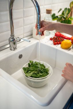 Hand wash fresh spinach leaves in colander under running water in the kitchen, view from above. Woman washing green salad leaves in the sink under flowing water. Healthy eating, organic food concept clipart