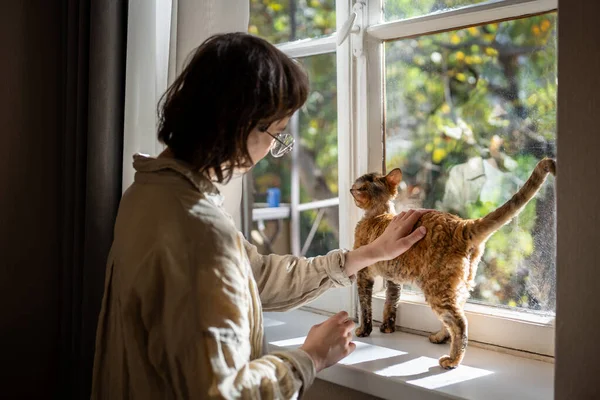 stock image Woman stroking petting Devon Rex cat on windowsill at home enjoying communication. Girl pet lover talk to the cat. Love, anti stress, pet therapy concept. 