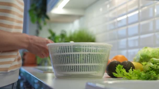 Στεγνό Πράσινο Σπανάκι Πλαστικό Φορητό Στεγνωτήριο Τύπου Οικιακής Κουζίνας Μαγειρεύω — Αρχείο Βίντεο