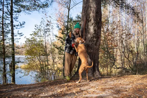 Pet Owner Hiker Training Dog Magyar Vizsla While Resting Leaning — Stock Photo, Image