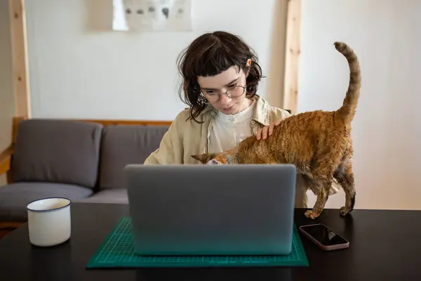 Curious cat looks at screen owner laptop on desk at home. Girl distracting from work or study on computer stroking petting pet begging attention. Usual life of people work on freelance, digital nomad