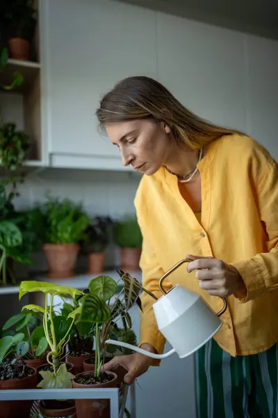 Mujer Mediana Edad Amante Las Plantas Cuidando Plantas Interior Maceta —  Fotos de Stock