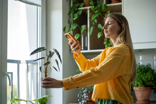 集中的中年妇女园艺师用手机拍照 用手机在网店张贴 有植物的小企业 家庭种植室内植物的绿色生态嗜好 — 图库照片