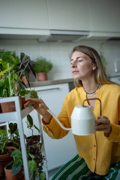 stock image Female gardener watering houseplant in flower pots, using a metal watering can. Attentive young woman takes care indoor plants. Home gardening, love of plants and care