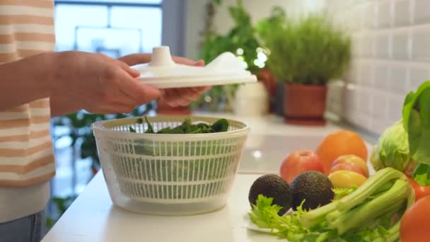 乾燥はプラスチック ハンドヘルドの家の台所遠心分離機のタイプ ドライヤーで緑のほうれん草を洗いました 健康的な新鮮な有機熟したビタミンで満たされた野菜から夕食を調理します デトックスのための自然な原料 — ストック動画